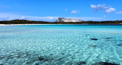 LUXURY HISTORIC HOUSE & EXCLUSIVE TERRACE. Live the Village, Live on the Sea!