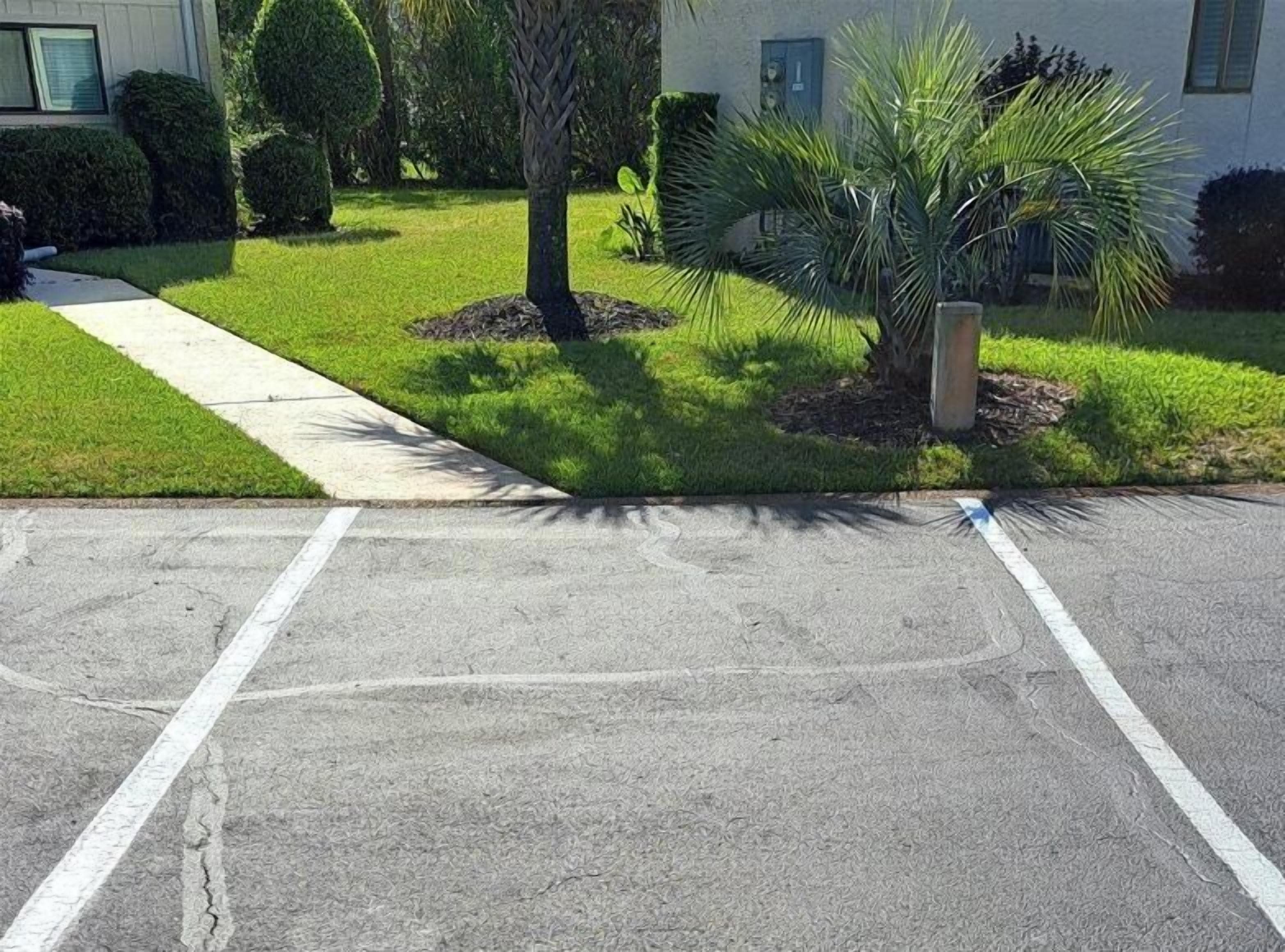Un estacionamiento con acera y una palmera.