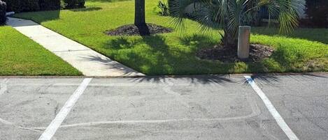Un estacionamiento con acera y una palmera.