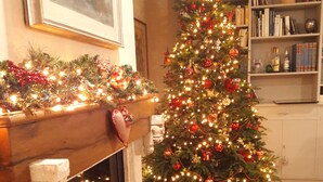 Una sala decorada con chimenea, un árbol de Navidad y una estantería.