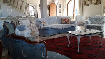 TV, caminetto, libri, biblioteca musicale