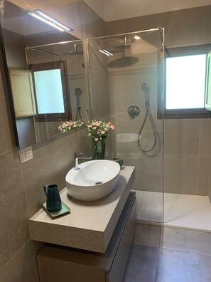 Combined shower/tub, hair dryer, bidet, towels