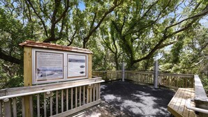 A wooden deck with a signboard, surrounded by trees. - Links 10B (Hilton Head Island)