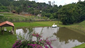 A pond with a swan, surrounded by green grass and purple flowers. - Casa Sítio Mairiporã (Mairipora)