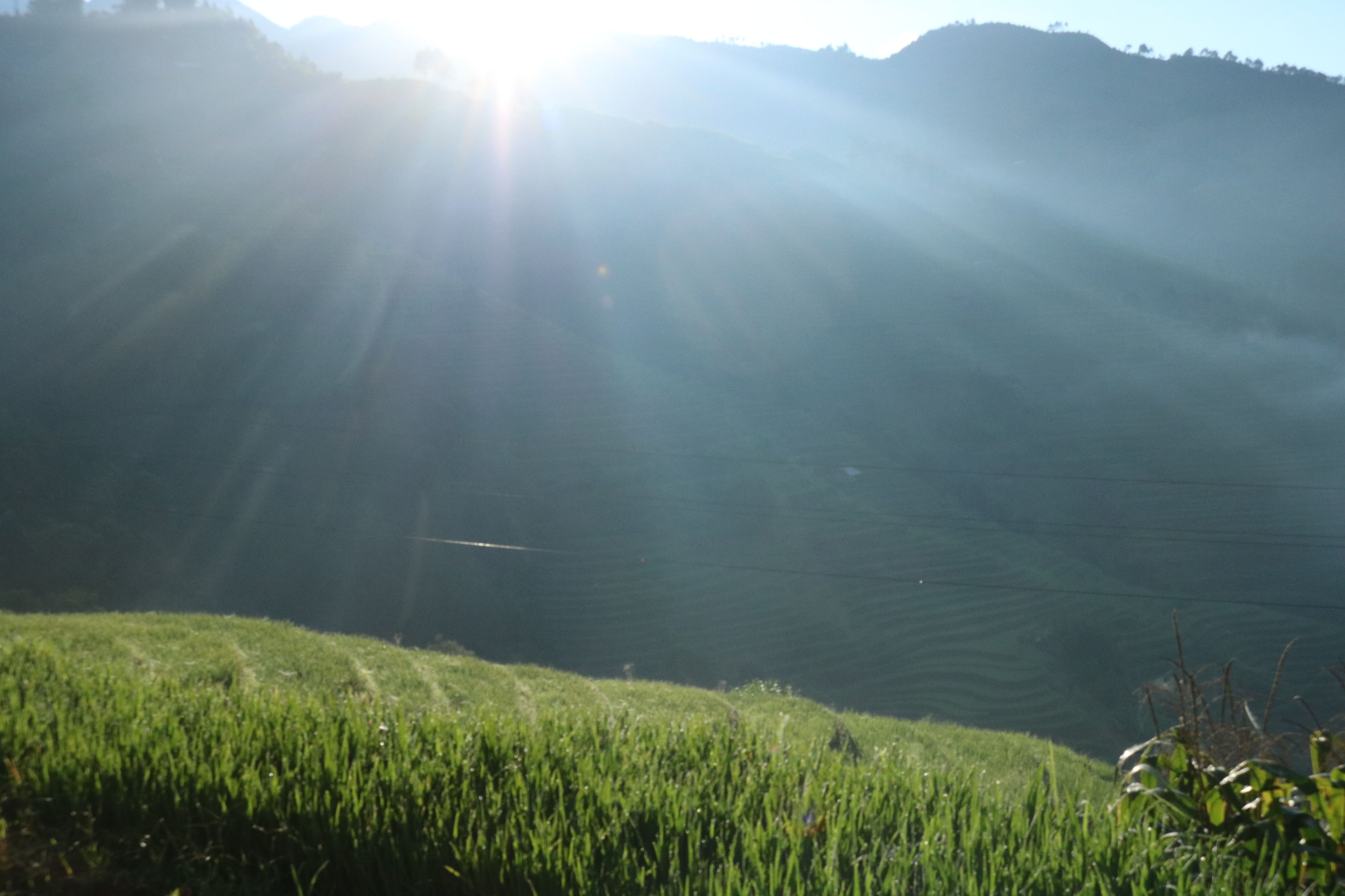 Superior-dobbeltværelse | Balkon