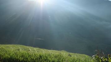 Habitación doble superior | Balcón