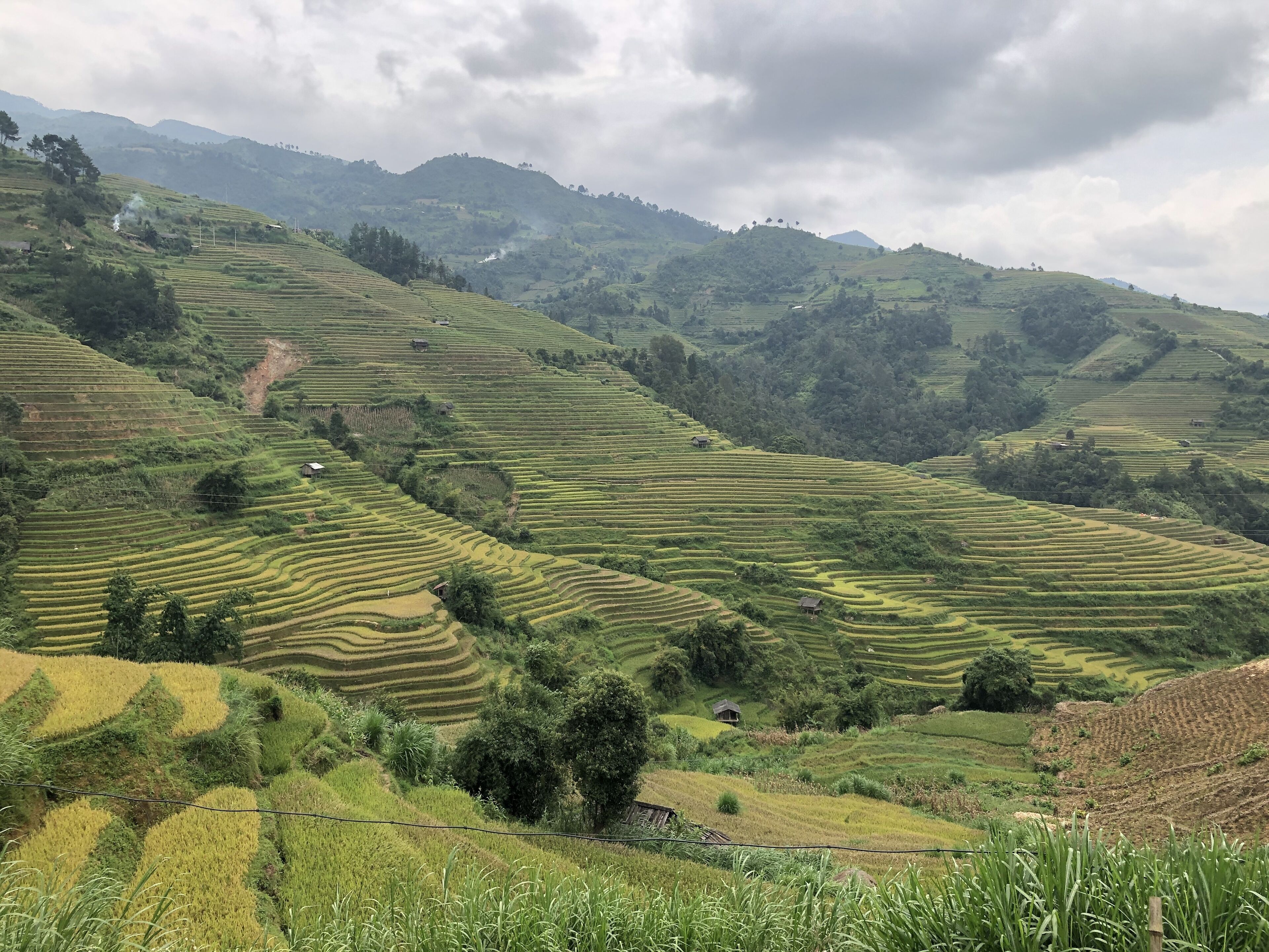 Terraced rice fields with a few small houses amidst the landscape.
