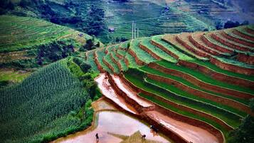 Pemandangan dari properti