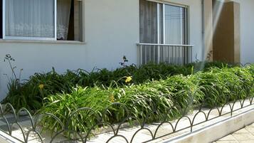 Detalle del exterior