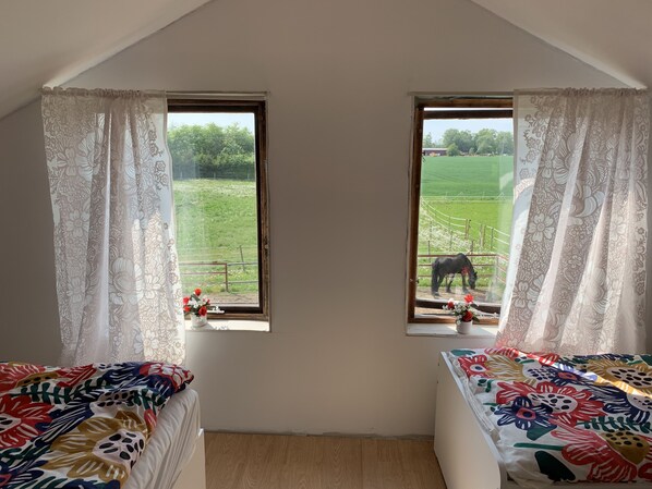 1 bedroom, WiFi, bed sheets