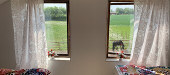 Live on a horse farm