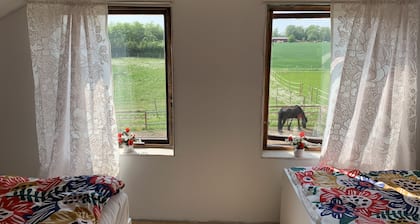 Vivre dans une ferme équestre