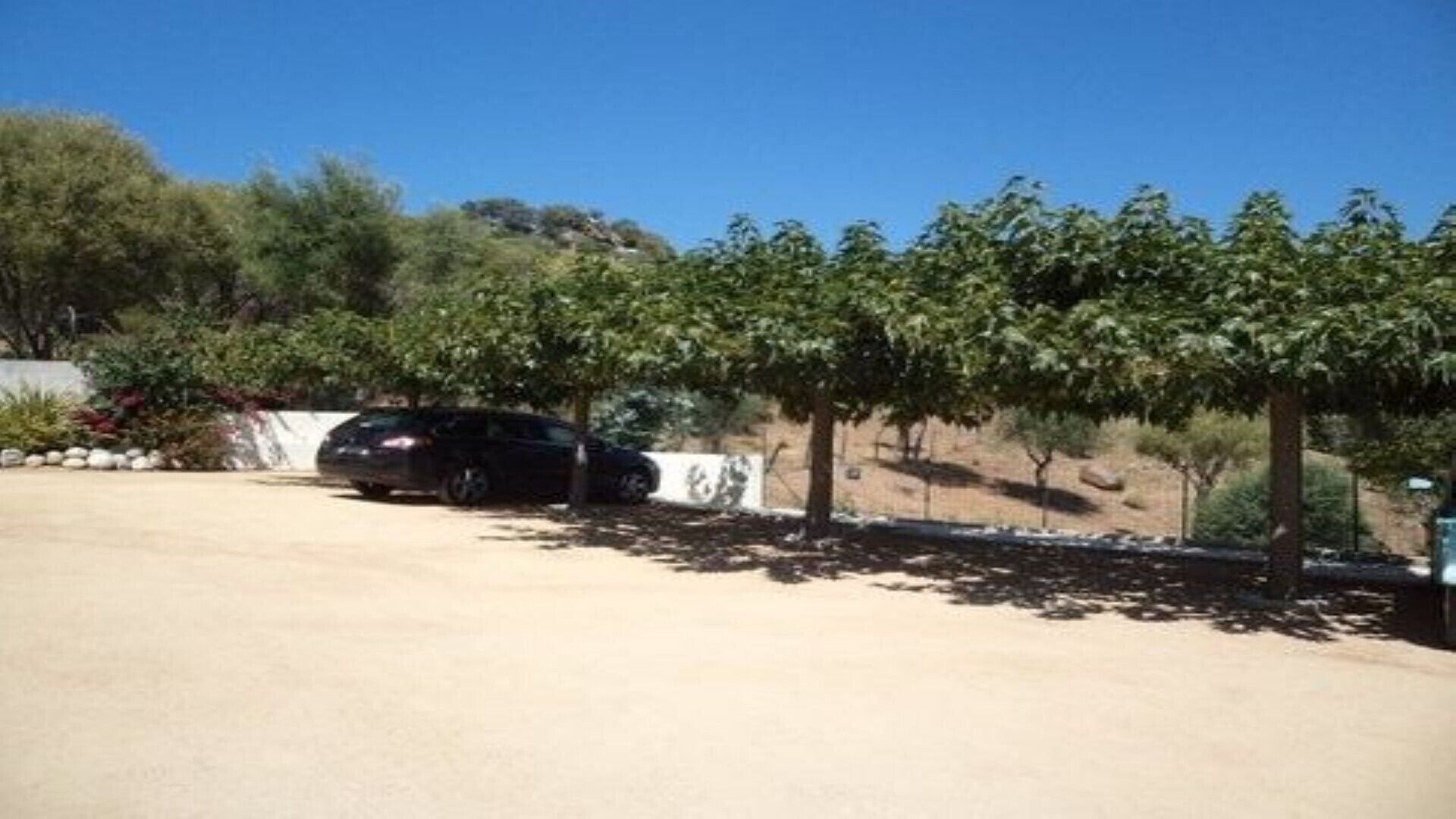 A parking area with a black car parked near a row of trees and a stone wall.