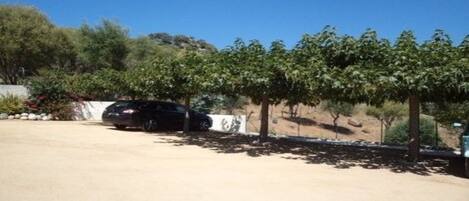 A parking area with a black car parked near a row of trees and a stone wall.