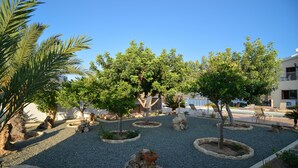 A landscaped garden with trees, gravel paths, and rock formations. - Brand New Villa with Private Pool and Panoramic Mountains and Sea Views (Paphos)