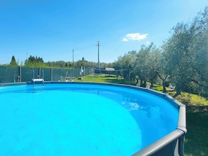 A clear blue swimming pool surrounded by a fenced area with trees and a grassy lawn.