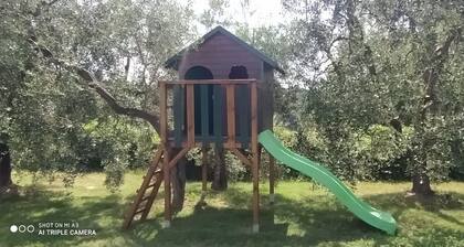 ALBĂ in the heart of Tuscany, with garden and pool