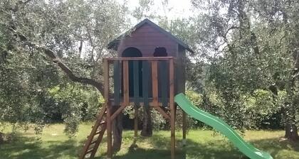 ALBà in the heart of Tuscany, with garden and pool