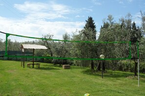 Terrain de sport