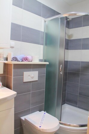 A bathroom with a shower enclosure, a toilet, and a sink.