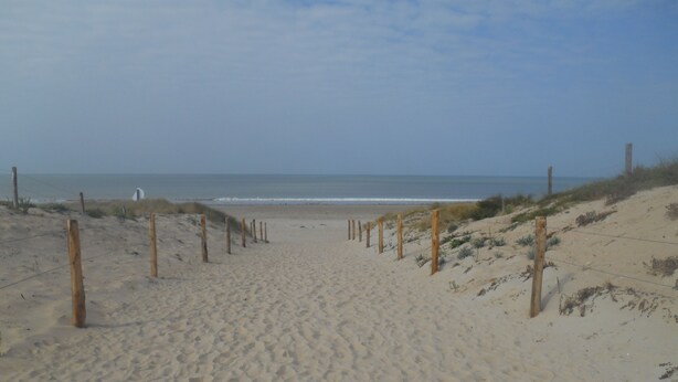 Un sentier de sable qui longe la plage et mène à l’océan, bordé de poteaux en bois et d’une clôture.