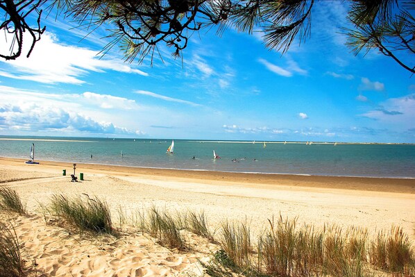 Playa en los alrededores y camastros 