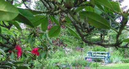 100m² Fewo 2-6 Pers, ruhig, Terrrasse, Garten, Lahnwanderweg, RFW, Kanuverleih