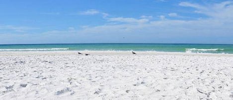 Sillas reclinables de playa, toallas de playa