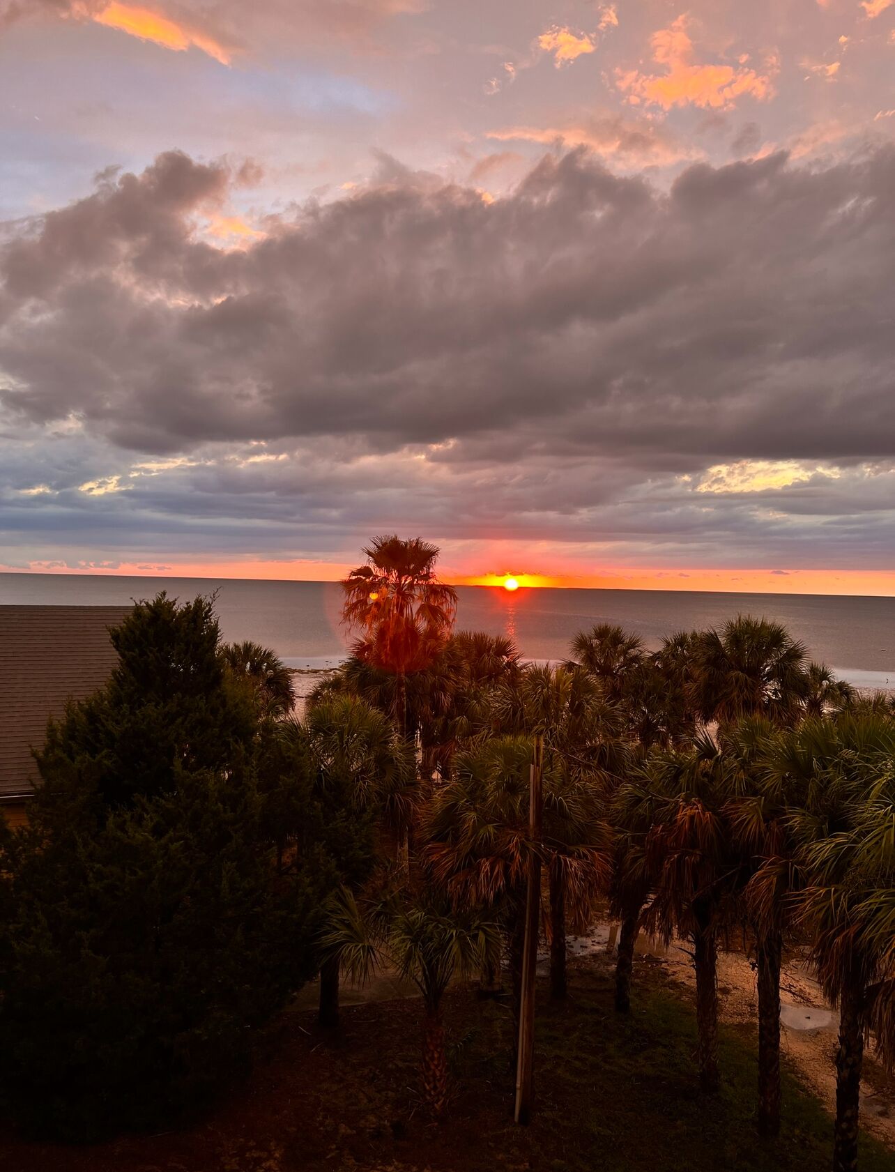 A sunset view with palm trees and a beach in the background.