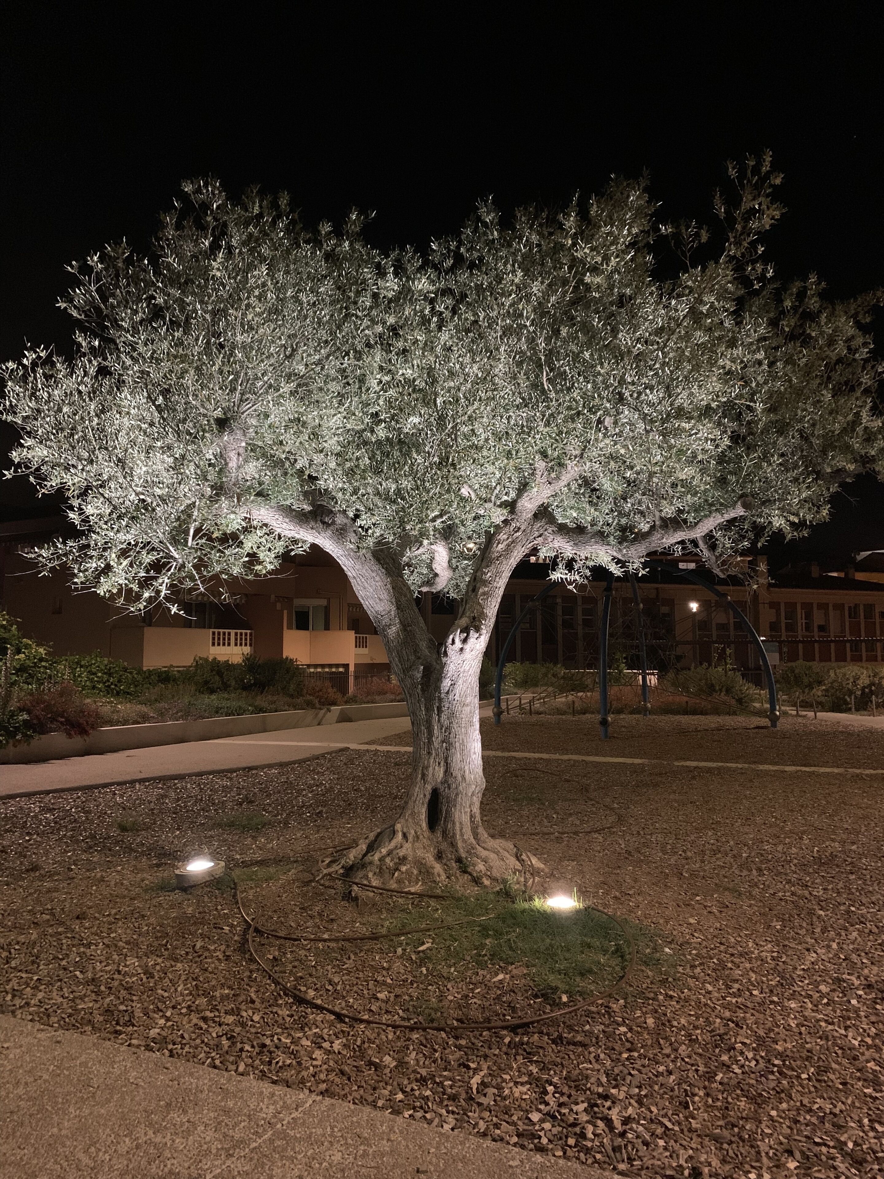 Enceinte de l’hébergement