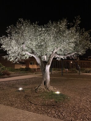 المنطقة المحيطة بالمنشأة