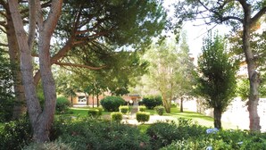 A well-maintained garden with various shrubs and trees, a clear pathway, and a building in the background. - Ste Maxime F3/65m², 2-7 pers, air-conditioned, garage, WiFi, swimming pool (Sainte-Maxime)