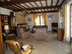 Télévision, cheminée, lecteur de DVD, table de tennis de table