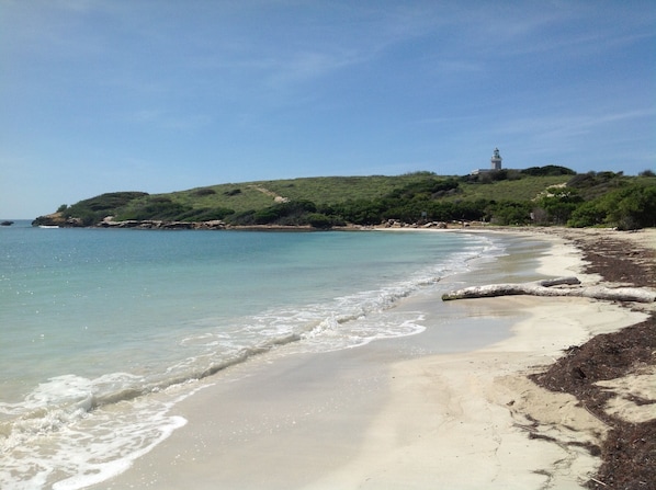Strand