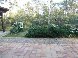 Property grounds - Prestigious villa of 6 rooms with a 1400 sq.m area Lacanau Longarisse (Lacanau)