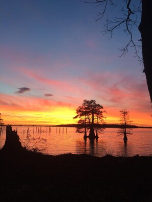 Beautiful views of lake!