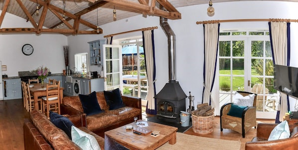 電視、DVD 播放機