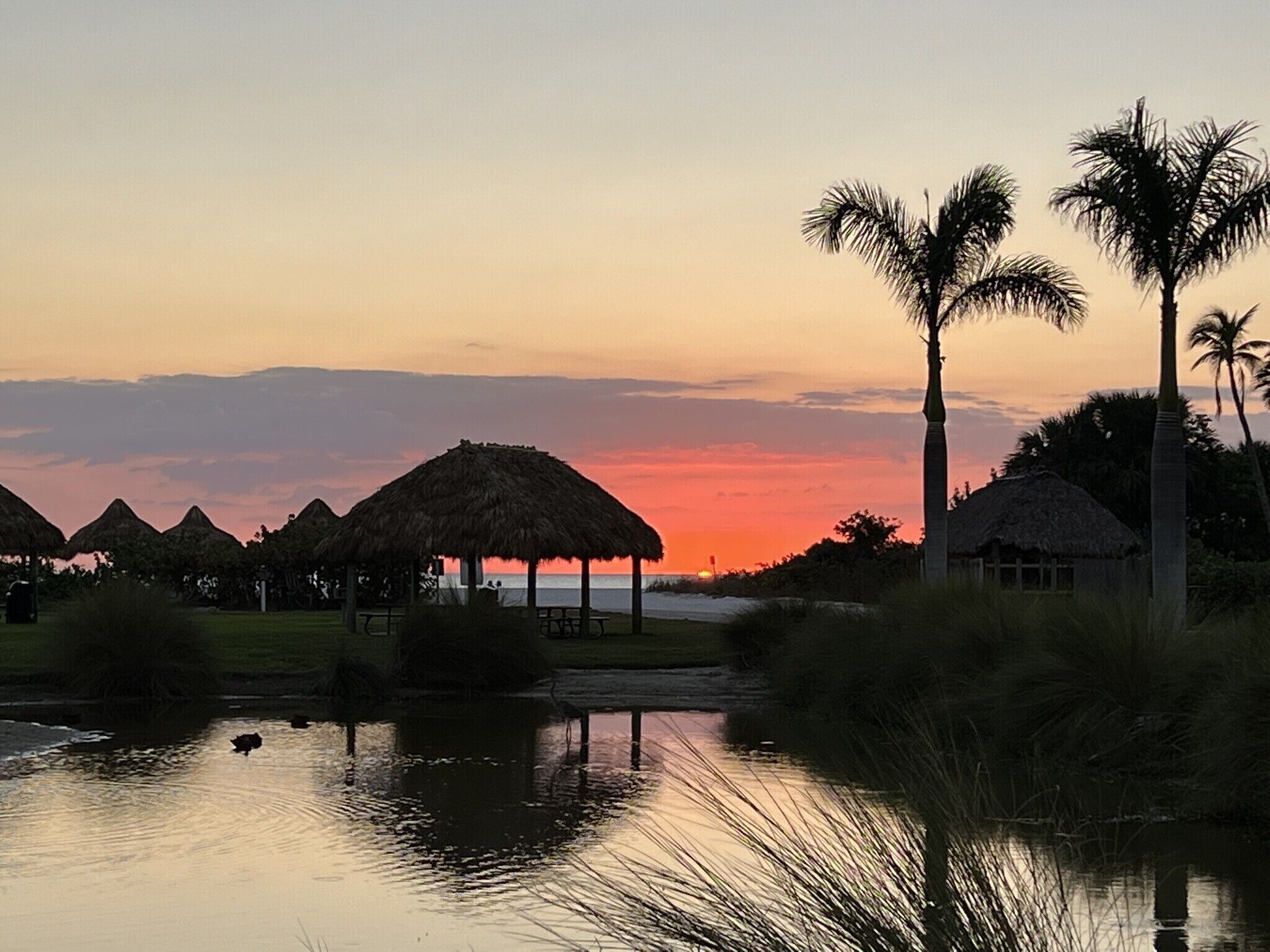 Escape to Paradise on beautiful Marco Island