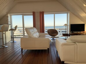 Televisión, reproductor de DVD, tenis de mesa y libros 