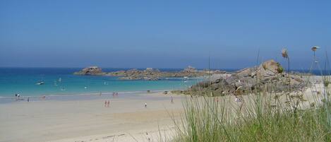 ビーチ、サンラウンジャー、ビーチタオル