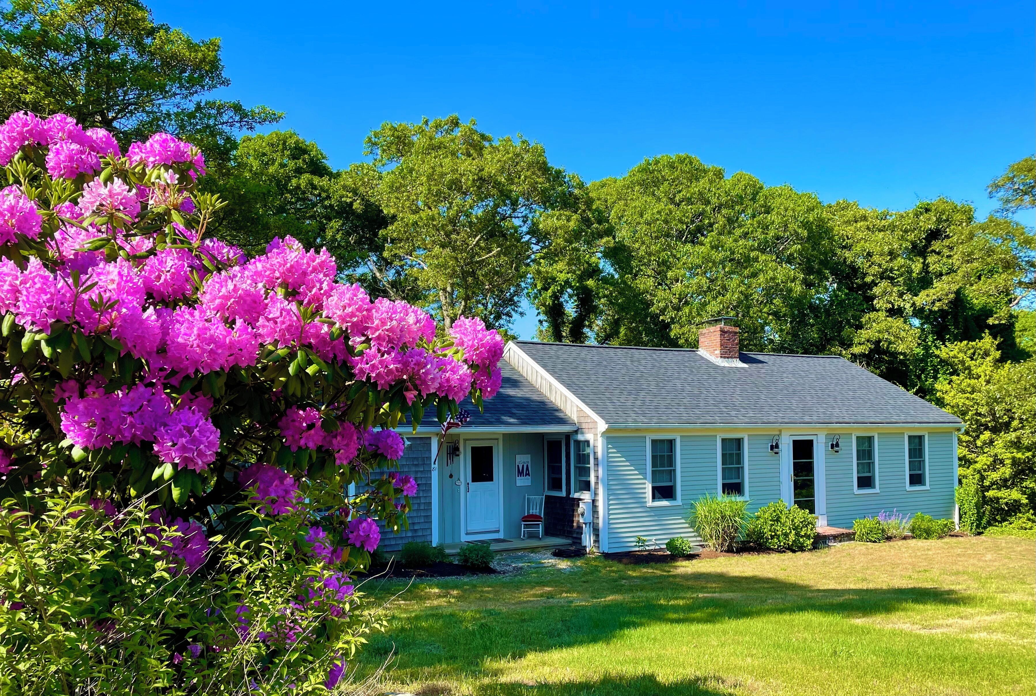   Beautiful Cape Cod home!