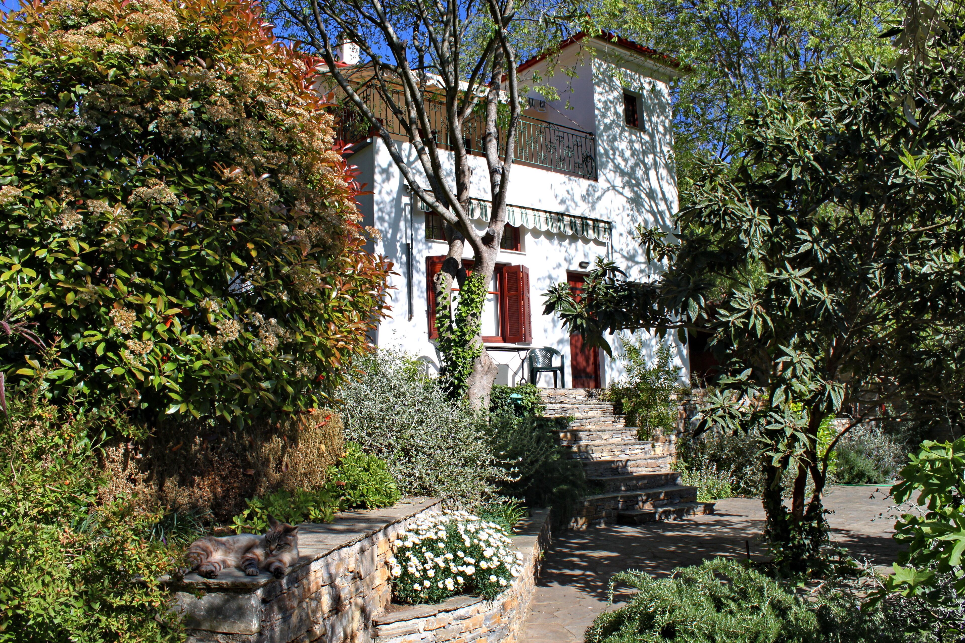 Aphroula's House - Studio on the Ground Floor