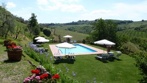 Ein Schwimmbecken mit Liegestühlen und Sonnenschirmen, umgeben von einer Rasenfläche und Blumenbeeten.