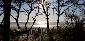 Une scène de plage avec des arbres et l’océan.