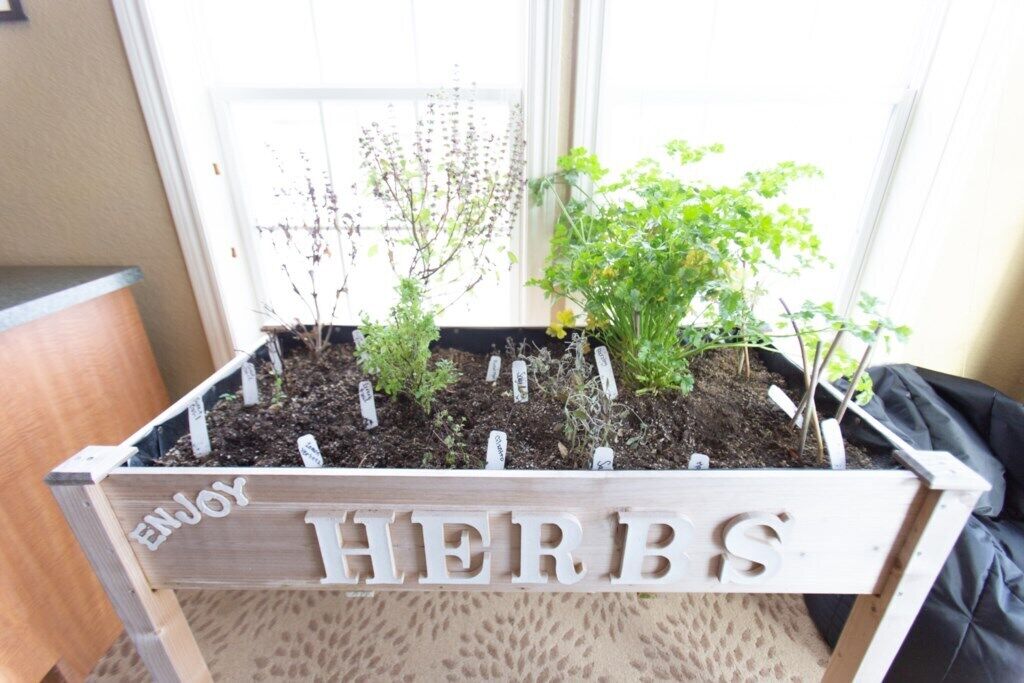 A wooden planter with the words 'ENJOY HERBS' and various herbs growing in it.