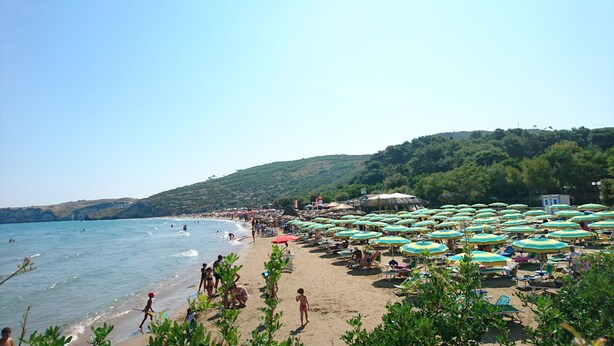 A beach with numerous umbrellas and sun loungers, a sandy shore, and a hilly backdrop.