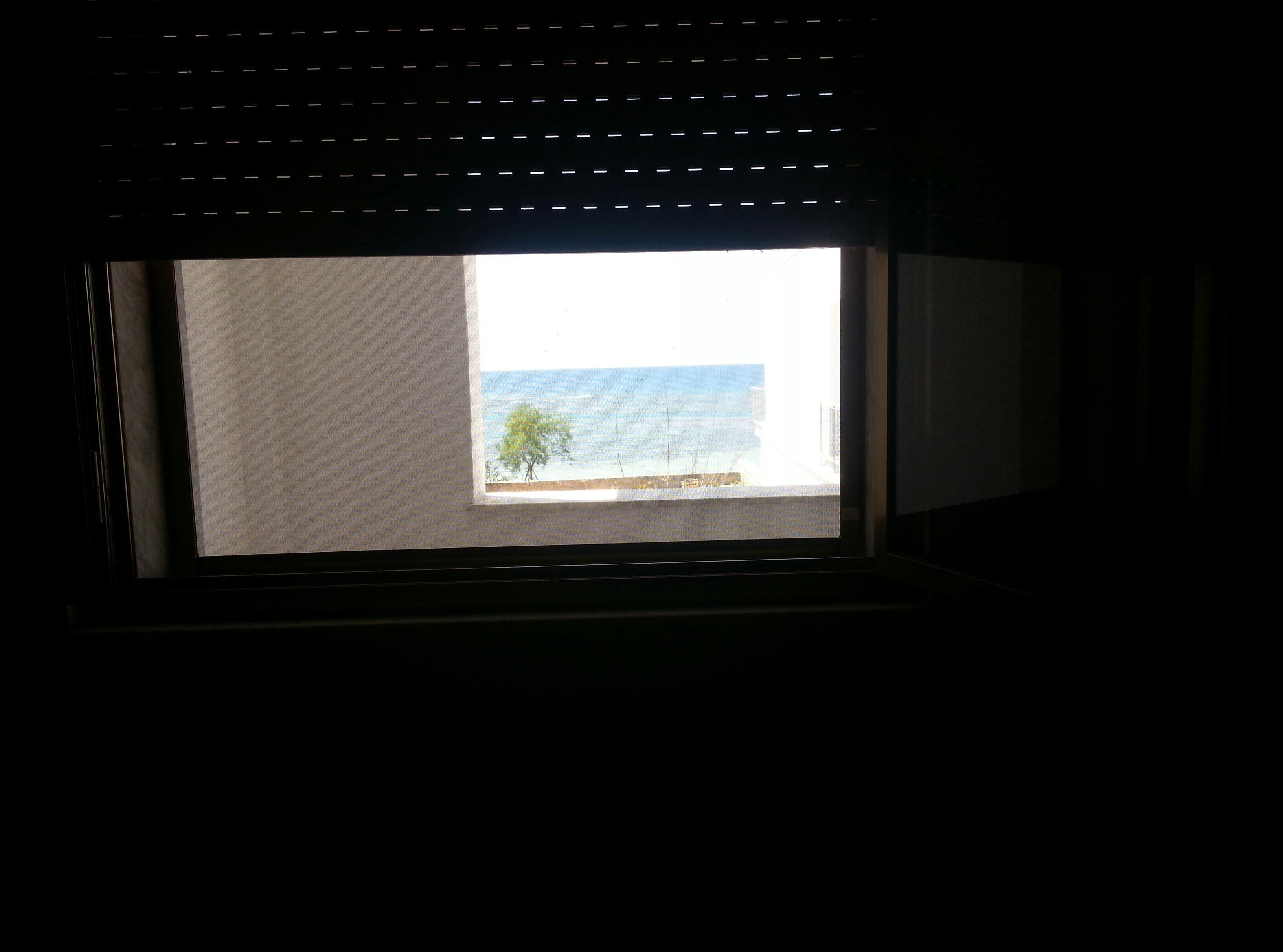 Une fenêtre donnant sur la mer et un arbre.