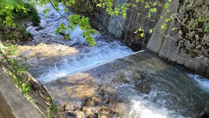 A small, clear stream flowing over rocks in a natural setting with a wooden fence and greenery. - Apartment Peacock, nahe Zentrum, am Skiweg (Zell am See)