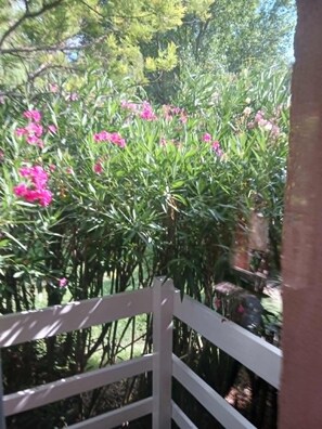 Property grounds - LES LAURIERS ROSES Beautiful, quiet setting in a Camargue hamlet  (Arles)