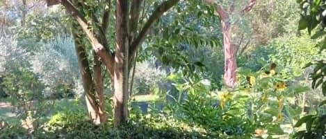 Jardines del alojamiento
